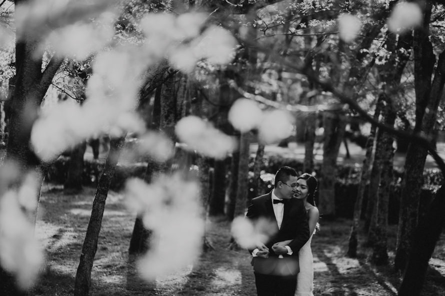 Japan Pre Wedding Photography