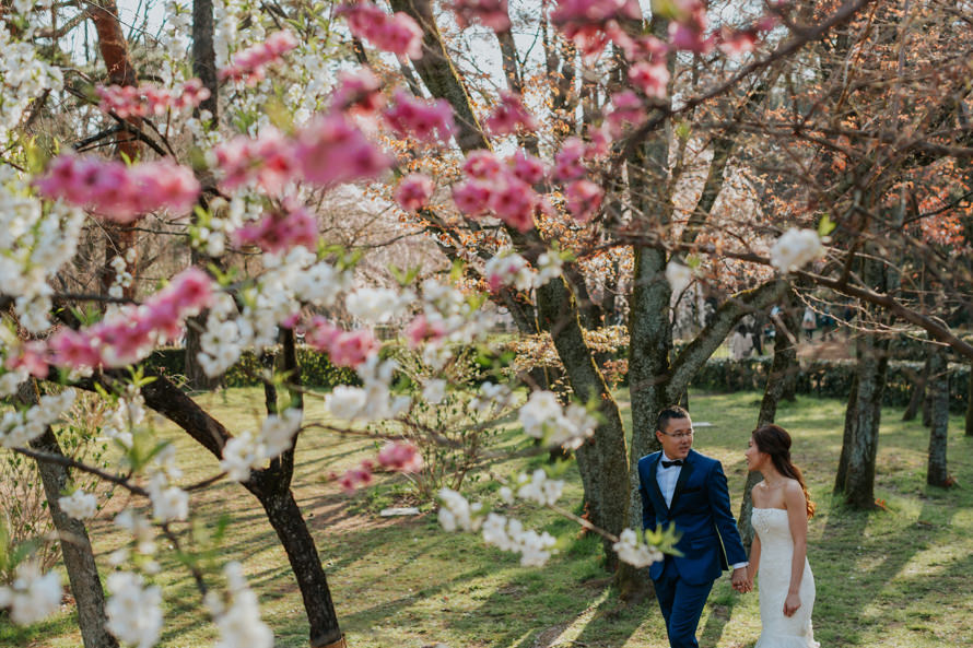 Japan Pre Wedding Photography