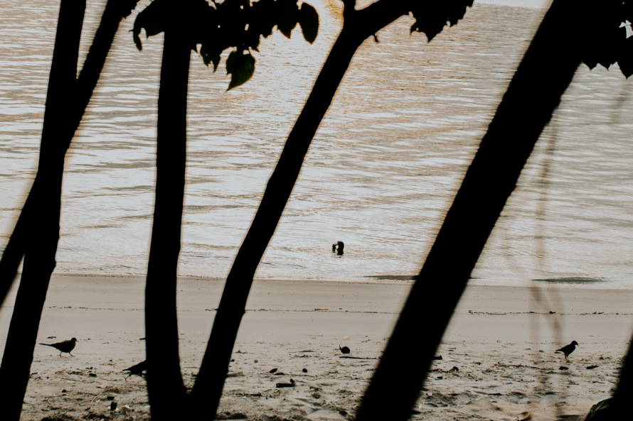 Portsdown Road Singapore Pre Wedding Photography