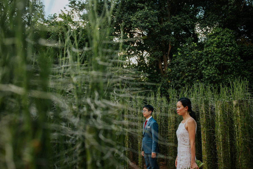 Singapore Botanic Gardens Singapore Wedding Photography