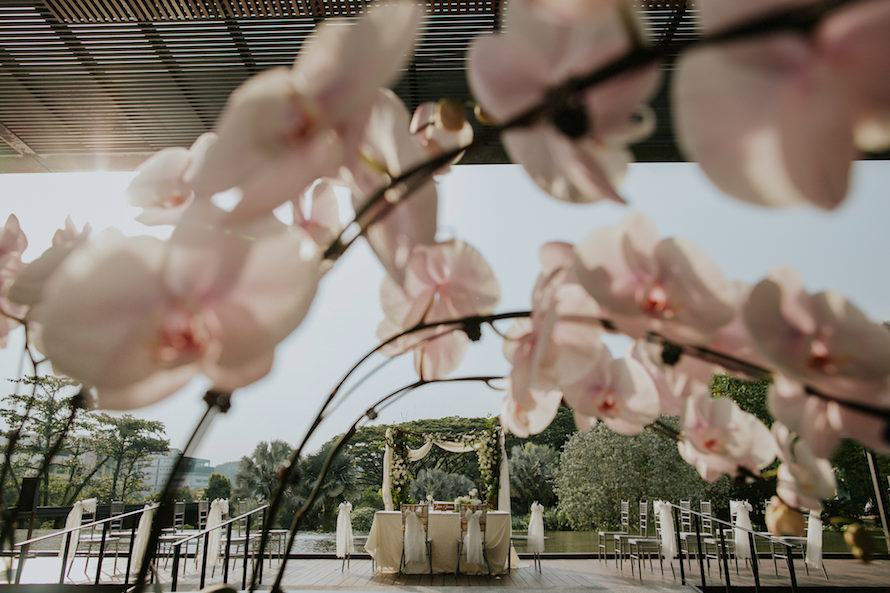 vineyard hortpark singapore wedding photography