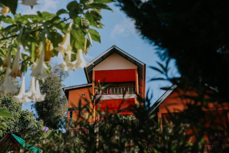 Chiang Rai Prewedding Photography