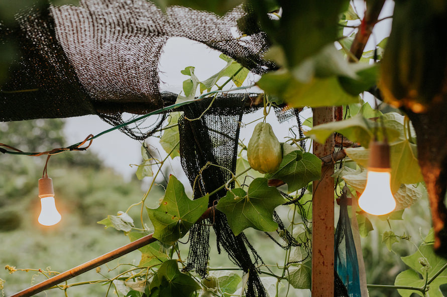 Intimate Backyard Wedding Singapore Wedding Photographer