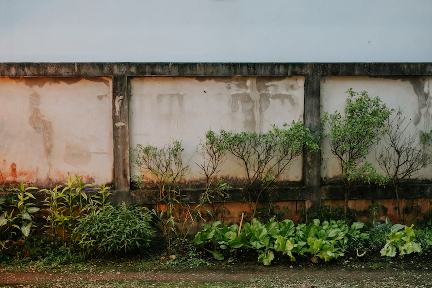 Intimate Backyard Wedding Singapore Wedding Photographer
