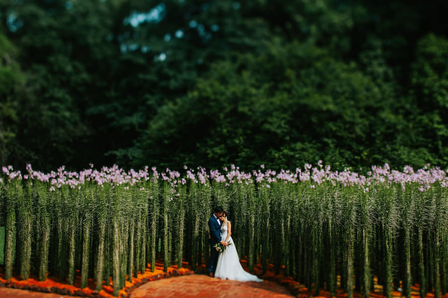 Botanico Singapore Wedding Photography