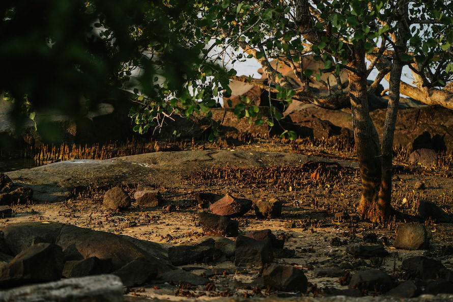 Pulau Ubin Singapore Prewedding Photography