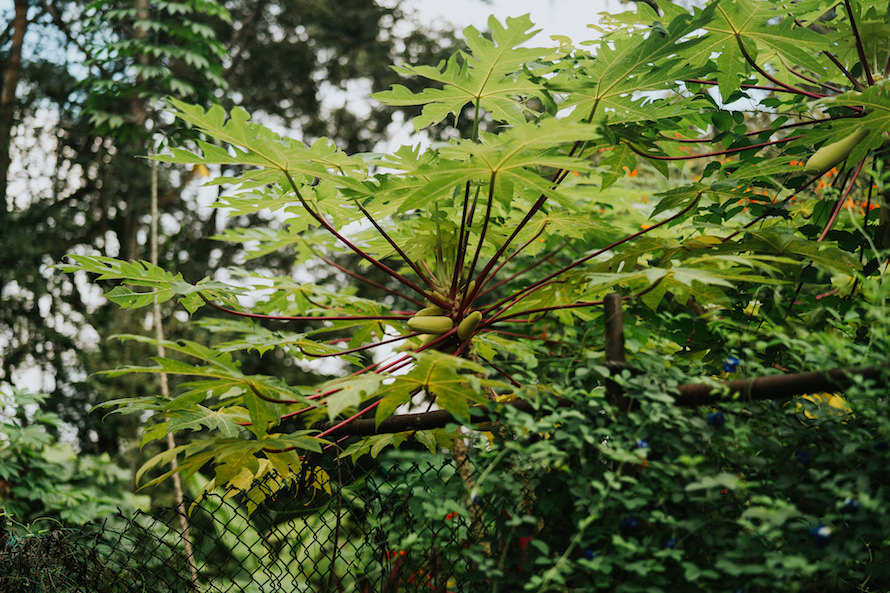 Pulau Ubin Singapore Prewedding Photography
