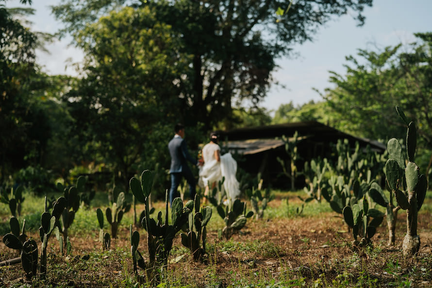 Pulau Ubin Singapore Prewedding Photography