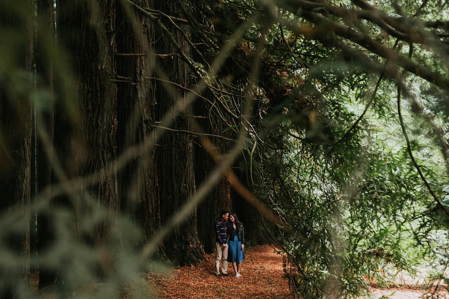 Melbourne Pre Wedding Photography