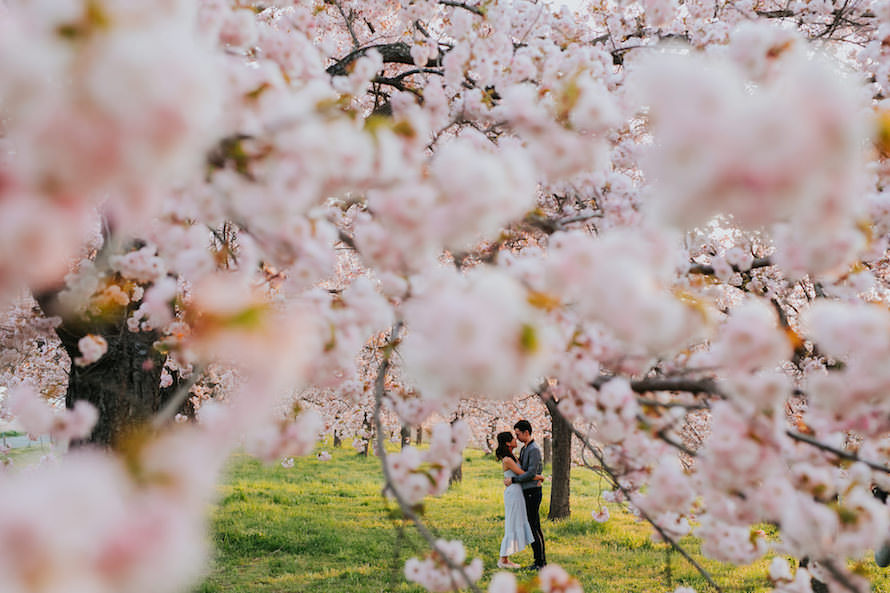 Nagano Springtime Prewedding Photography