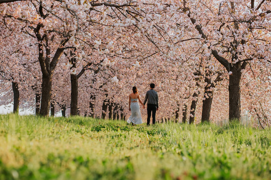 Nagano Springtime Prewedding Photography
