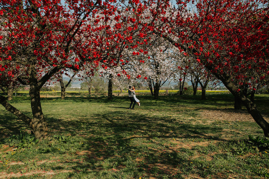 Nagano Springtime Prewedding Photography