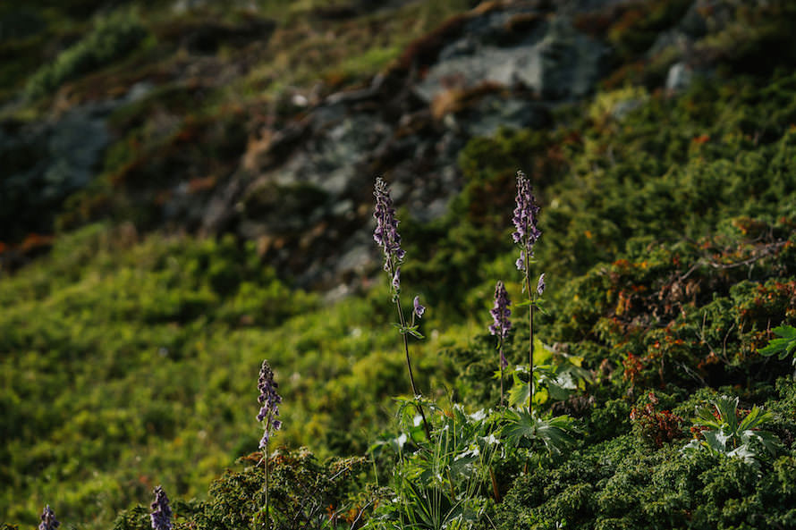 Norway Campervan Prewedding Photography