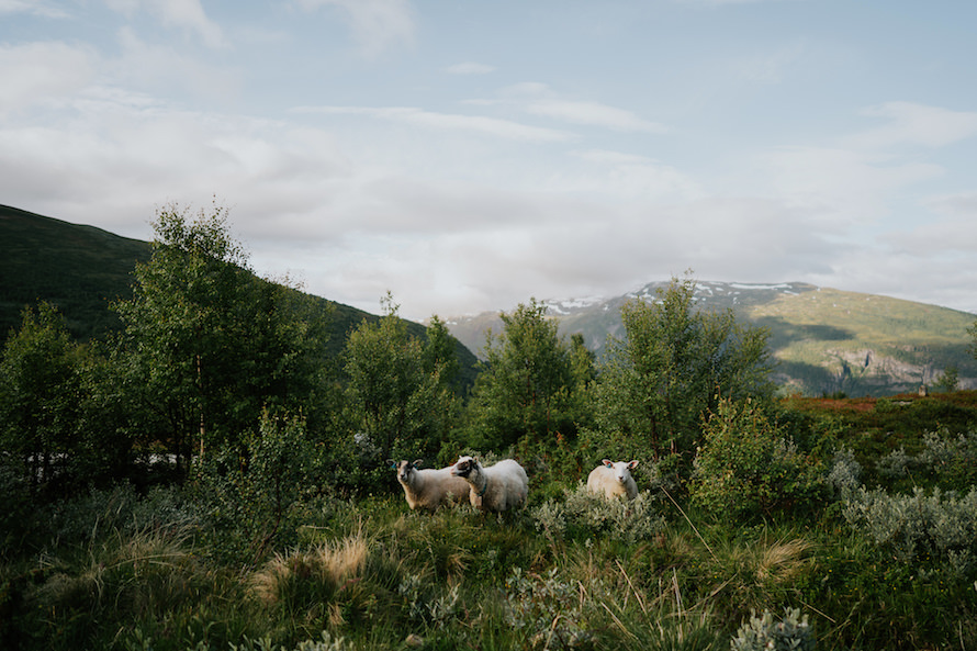 Norway Campervan Prewedding Photography