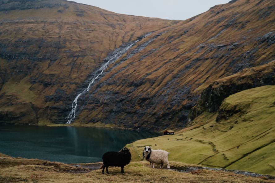 Faroe Islands Prewedding Photography