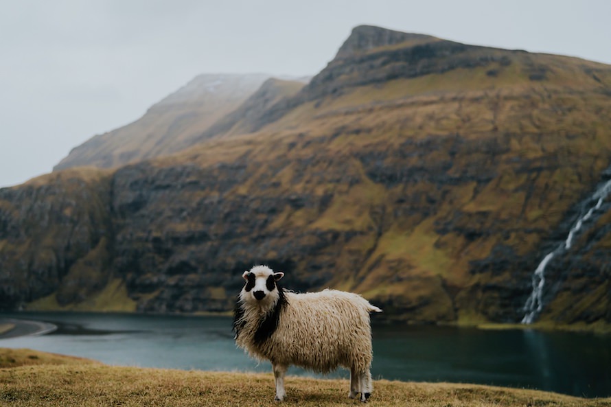 Faroe Islands Prewedding Photography
