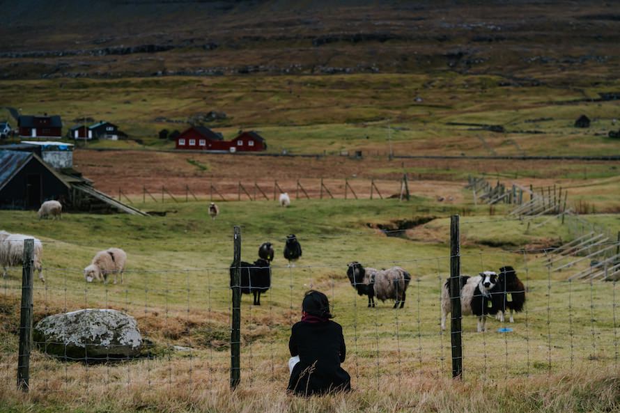Faroe Islands Prewedding Photography