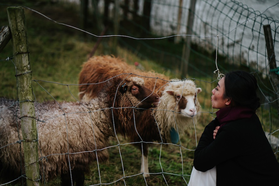 Faroe Islands Prewedding Photography