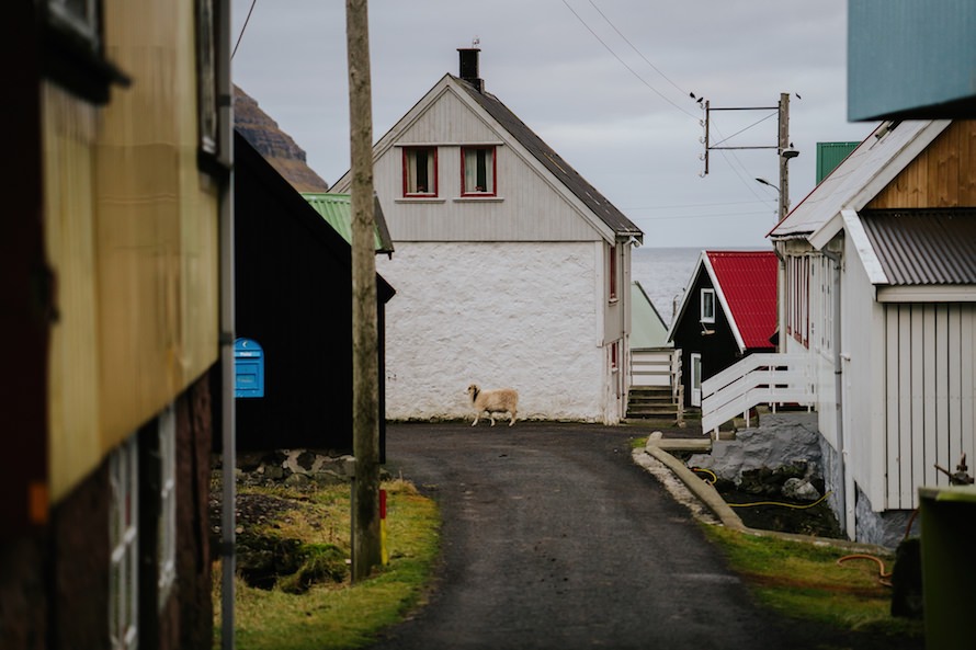 Faroe Islands Prewedding Photography