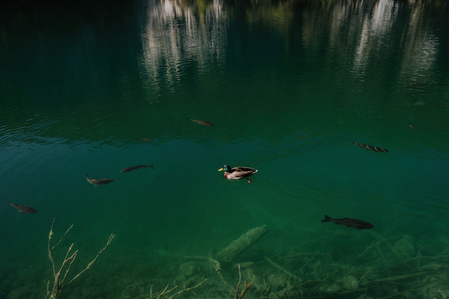 Croatia Prewedding Photography