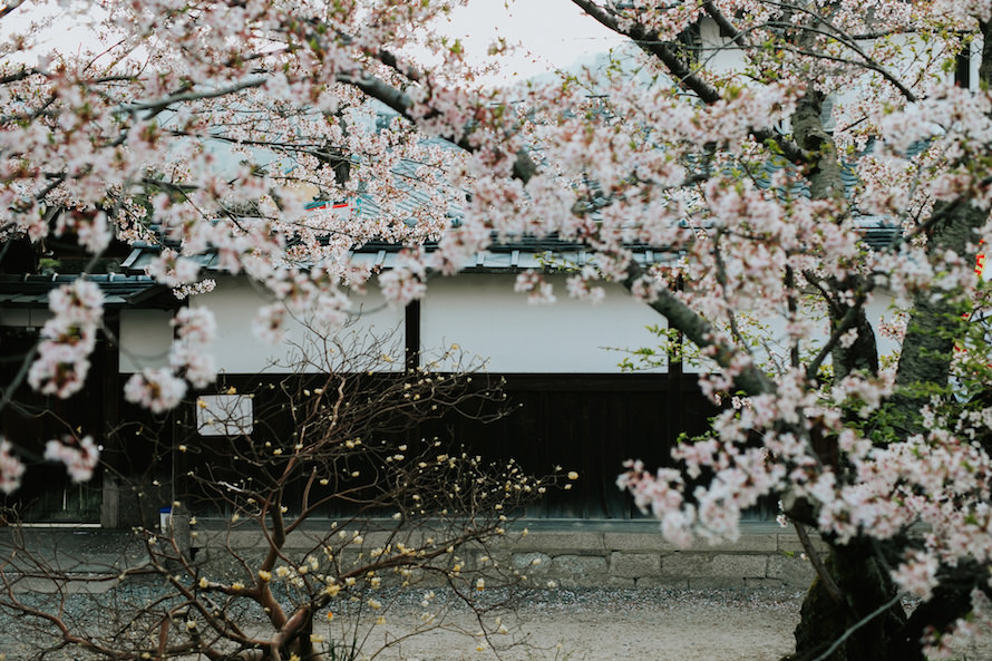 Japan Elopement Photography