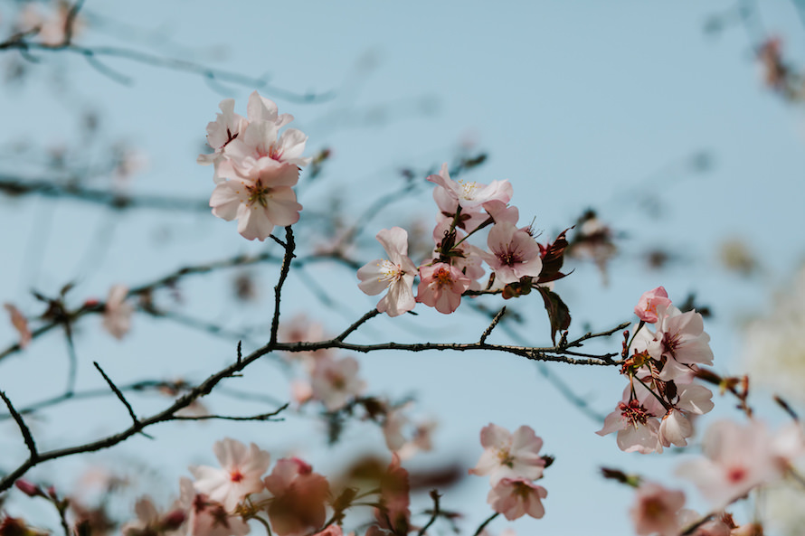 Japan Elopement Photography