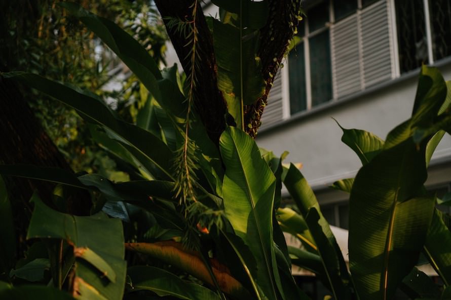 Tiong Bahru Estate Singapore Prewedding Photography