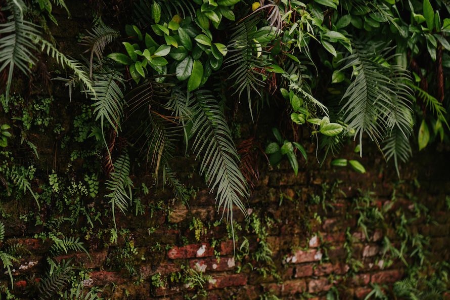 Fort Canning Park Singapore Prewedding Photography