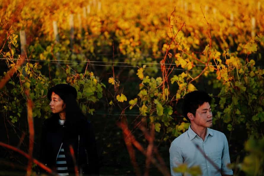Adelaide Prewedding Photography