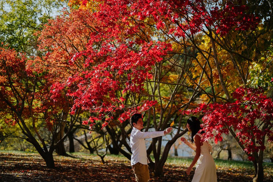 Adelaide Prewedding Photography