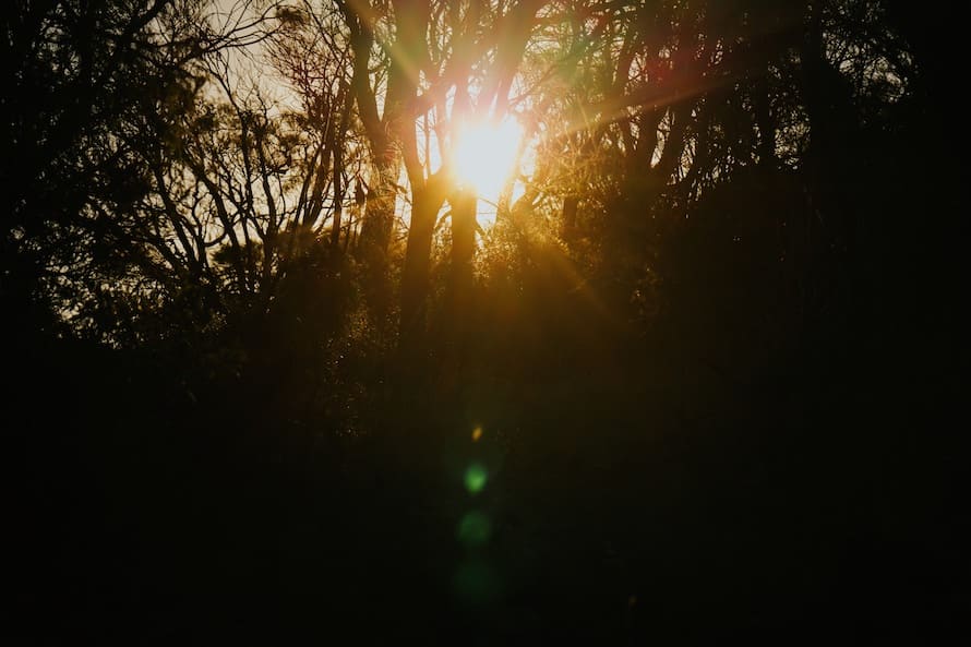 Adelaide Prewedding Photography