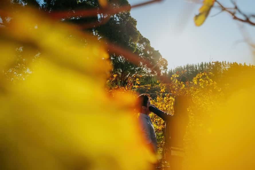 Adelaide Prewedding Photography