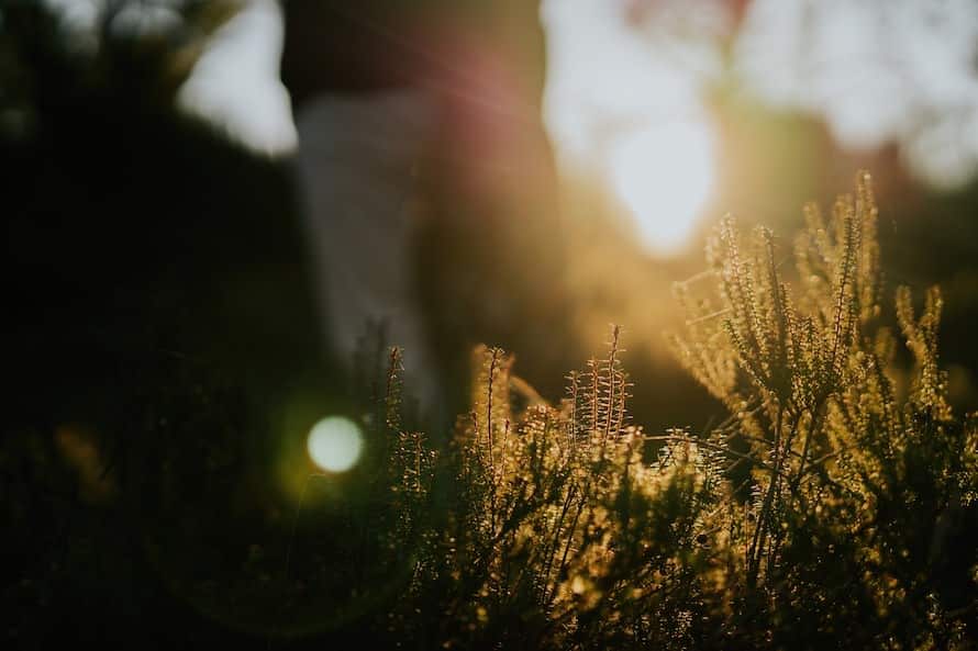 Cradle Mountain Prewedding Photography