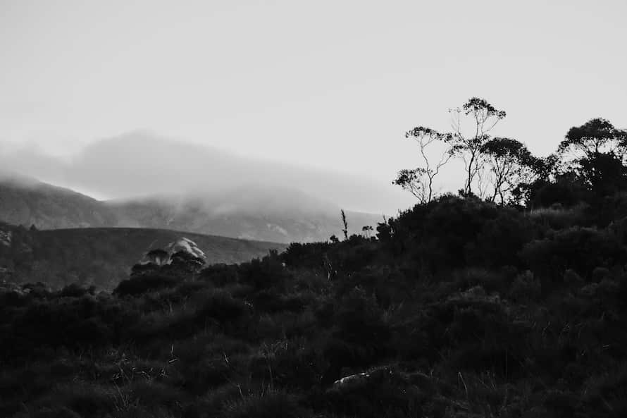 Cradle Mountain Prewedding Photography