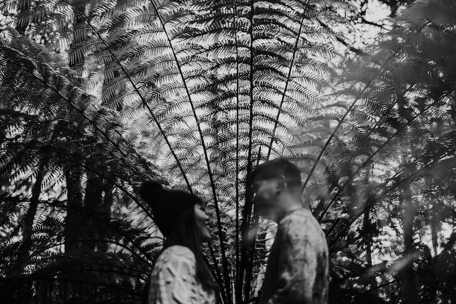 Tasmania Prewedding Photography