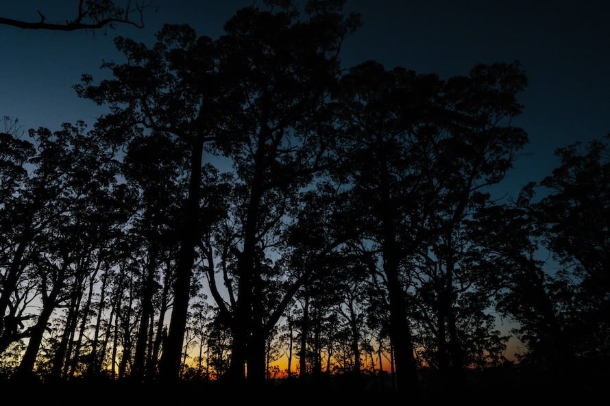 Tasmania Prewedding Photography