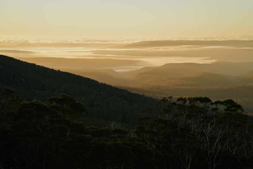 Tasmania Prewedding Photography