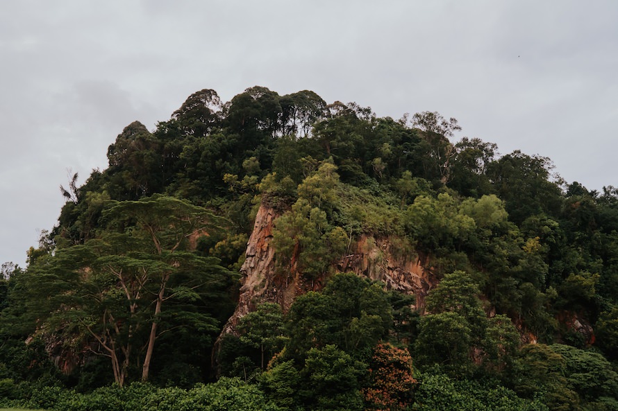 Dairy Farm Rock Cliff Singapore Prewedding Photography