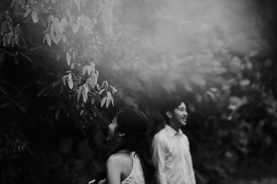 Dairy Farm Rock Cliff Singapore Prewedding Photography