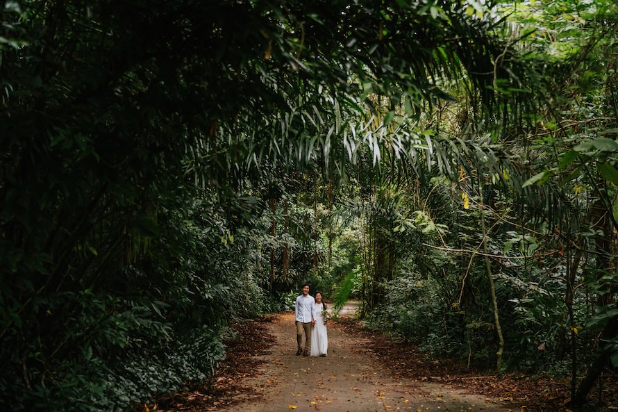 Dairy Farm Rock Cliff Singapore Prewedding Photography