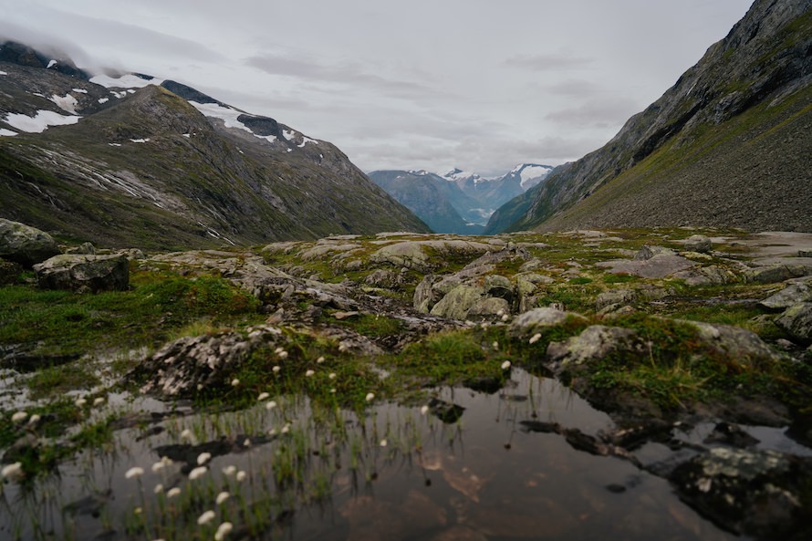 Norwegian Fjords Prewedding Photography