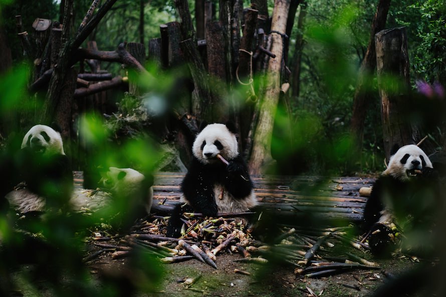 Sichuan Adventure Photography