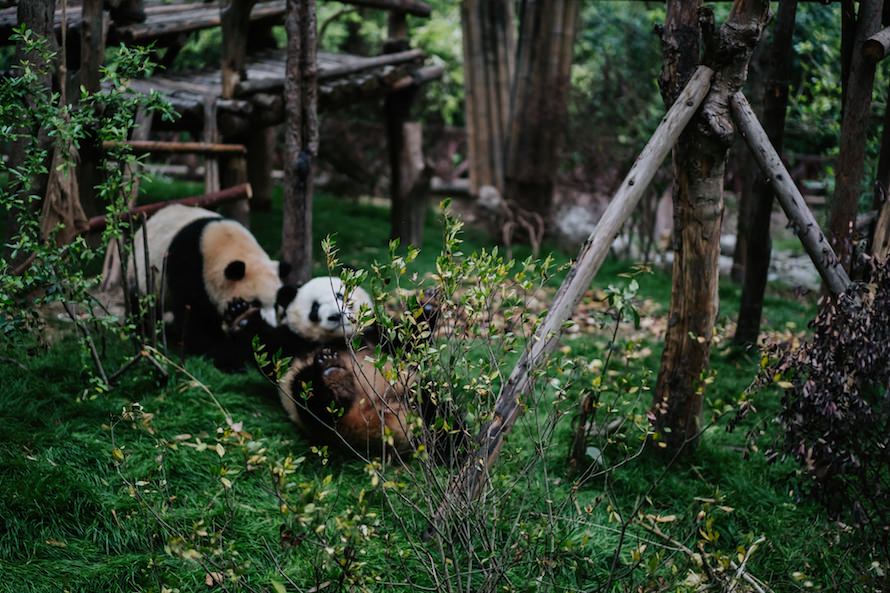 Sichuan Adventure Photography