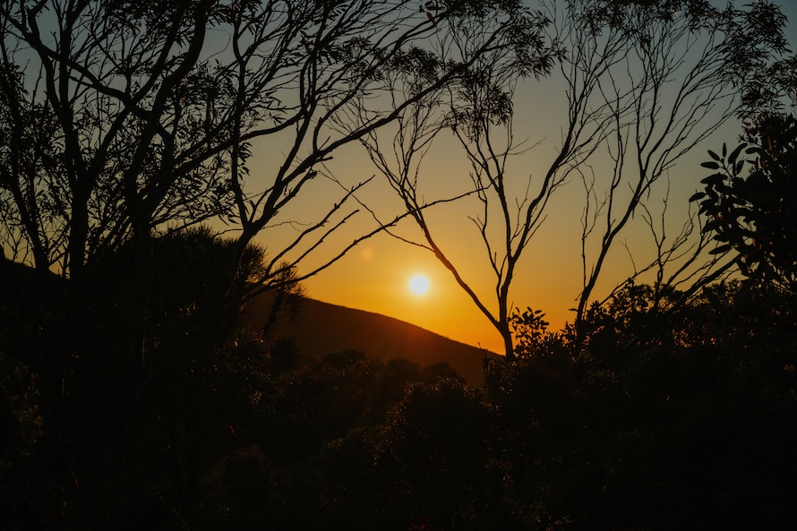 Western Australia Prewedding Photography