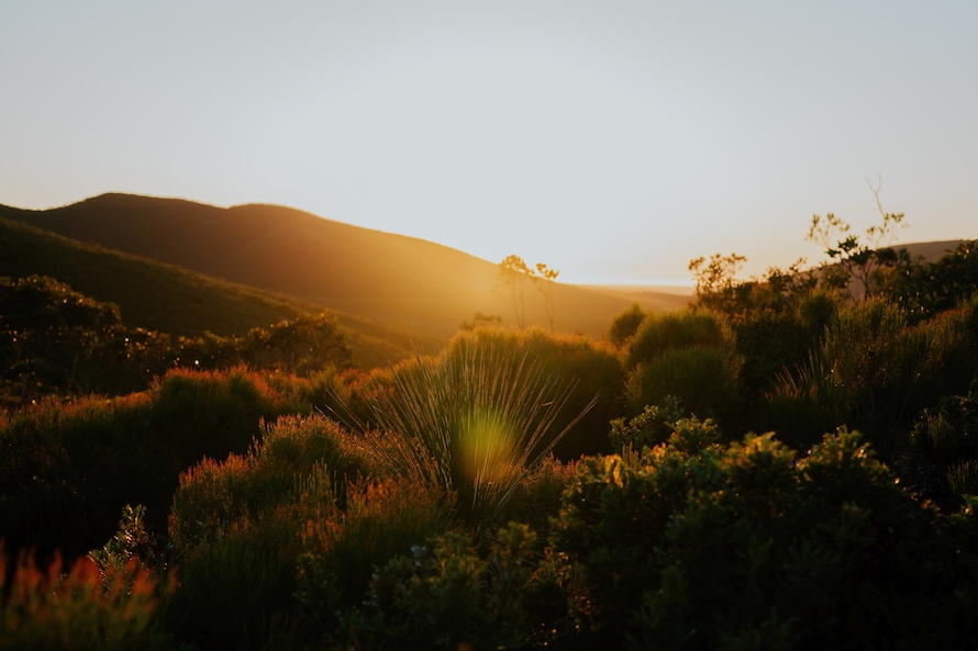 Western Australia Prewedding Photography