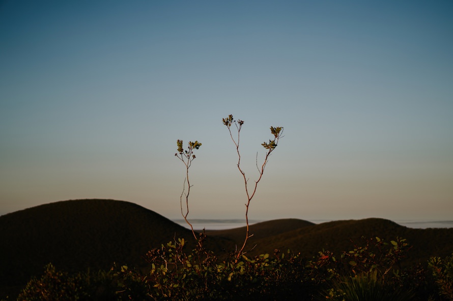 Western Australia Prewedding Photography