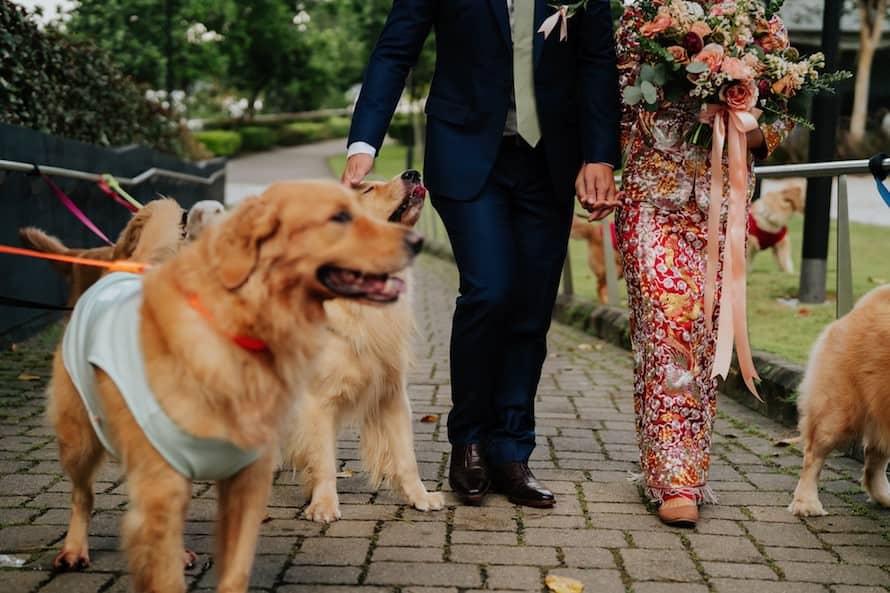 Wheelers Estate Singapore Wedding Photography