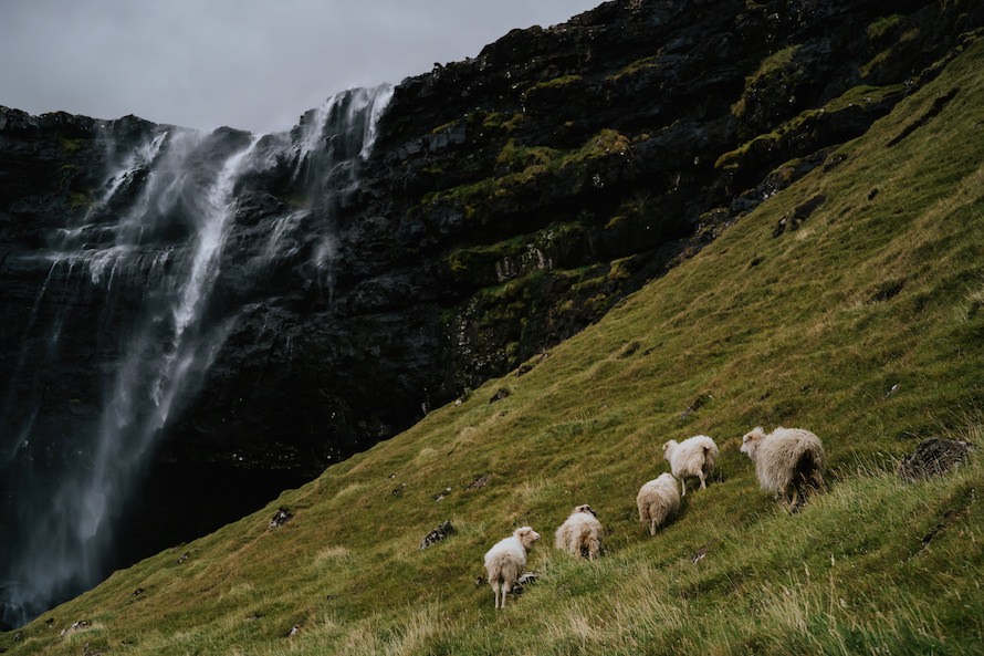 Faroe Islands Road Trip Prewedding Photography