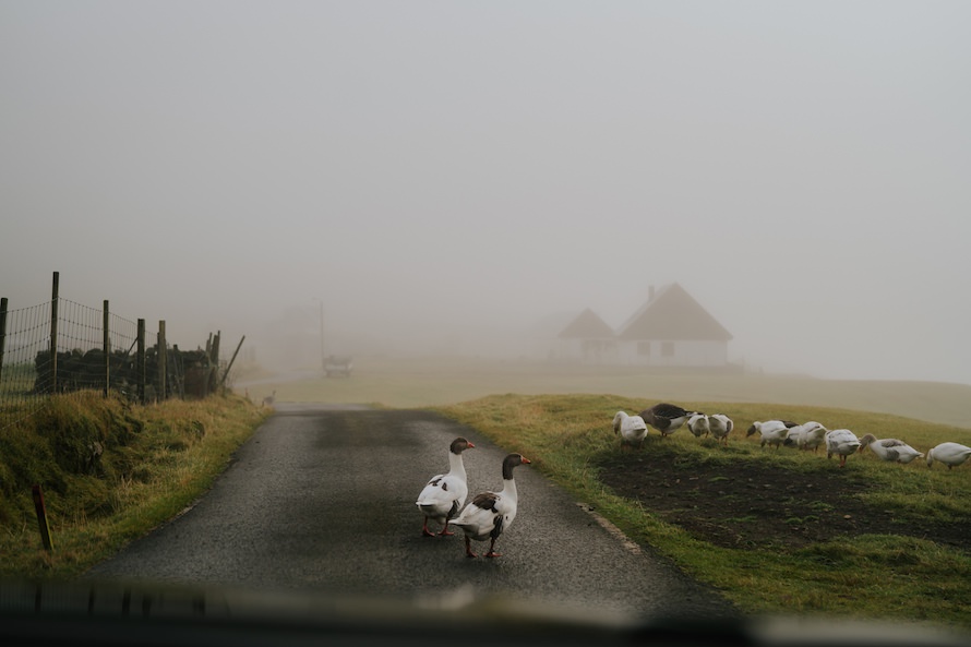 Faroe Islands Road Trip Prewedding Photography