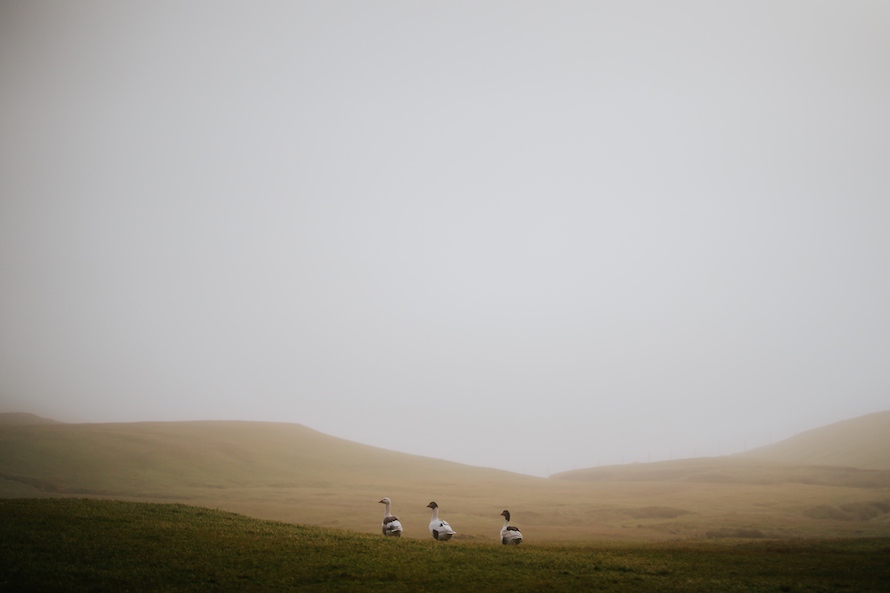 Faroe Islands Road Trip Prewedding Photography